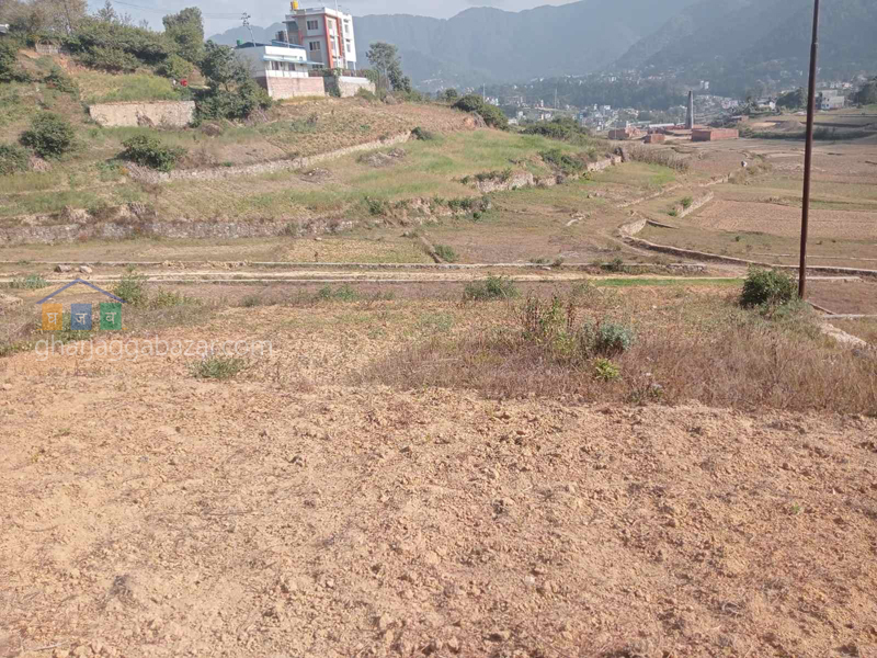 Planning Land on Sale at Jharuwarasi